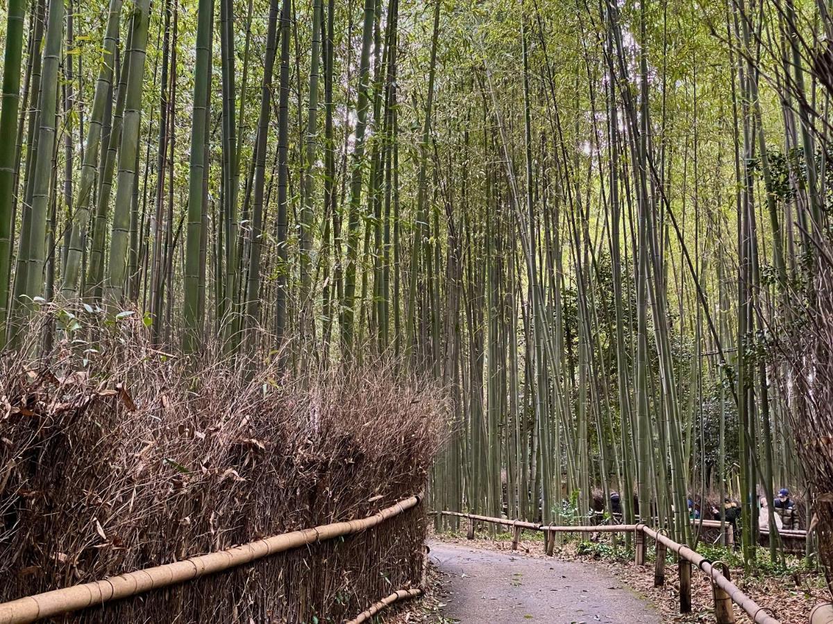 מלון קיוטו Yado Arashiyama מראה חיצוני תמונה